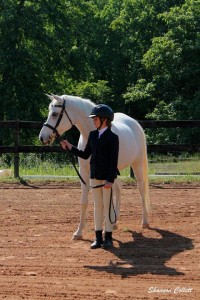 Logan - White Rose Desert Wind