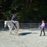 riding on the lunge without stirrups develops a strong balanced seat