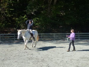 riding on the lunge without stirrups develops a strong balanced seat