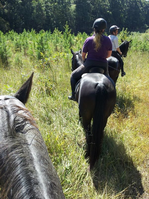 Horseback Riding Trails