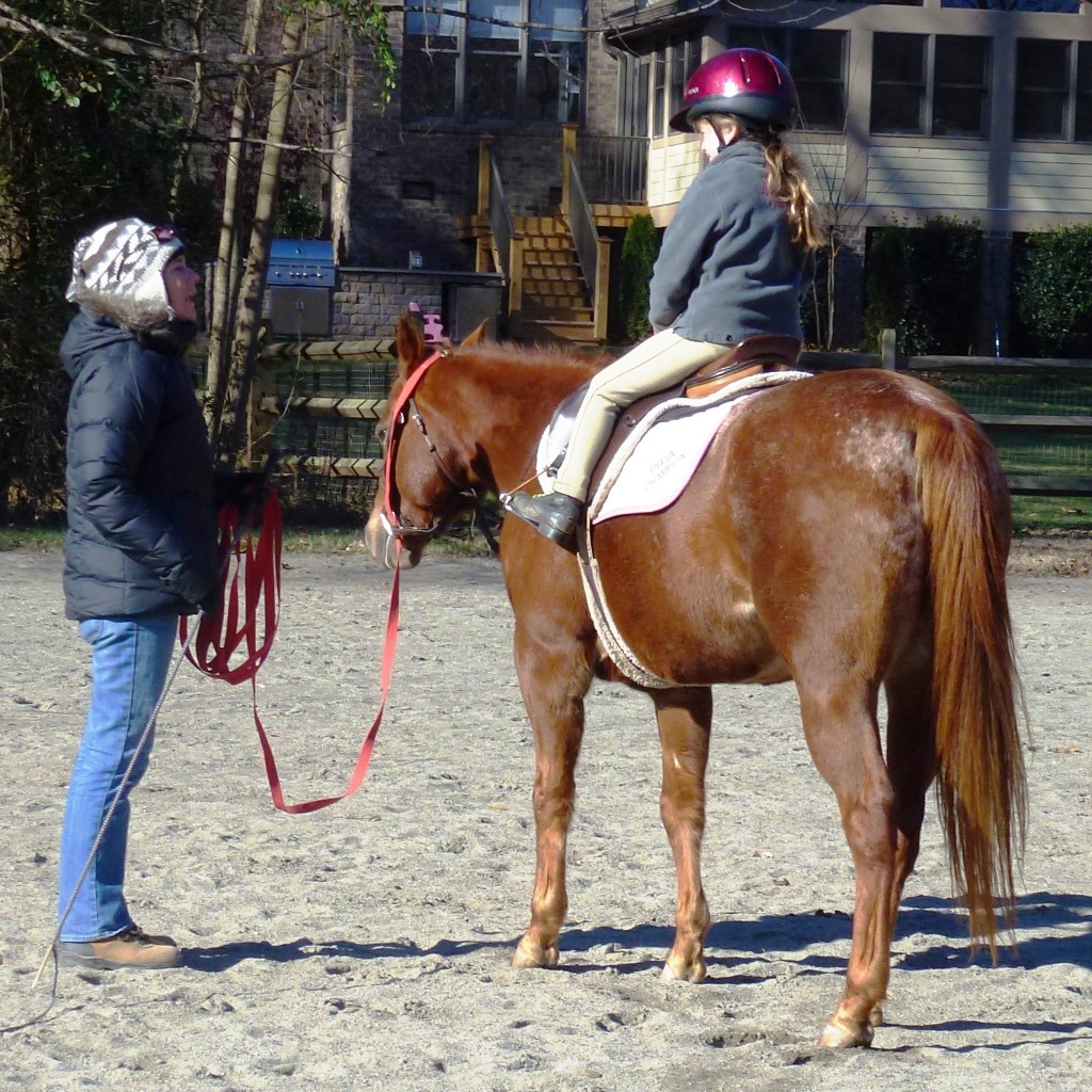 Horseback Riding Lessons near Charlotte