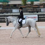 White Rose Fandango at Tryon International Equestrian Center