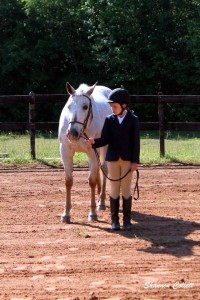 horse show championship points