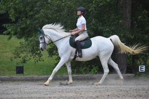 riding club