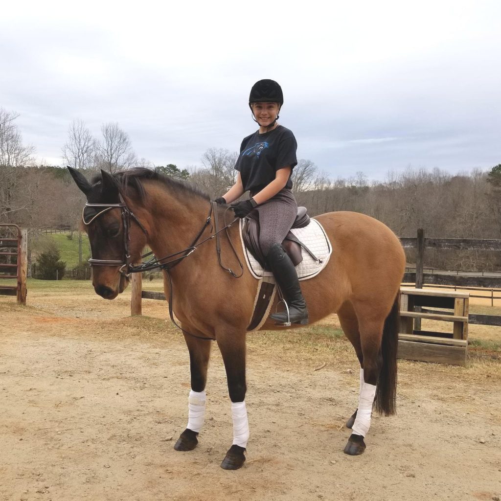 How Much Does it Cost to Keep a Horse White Rose Equestrian Blog