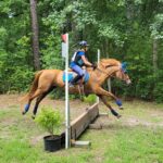 assistant trainer